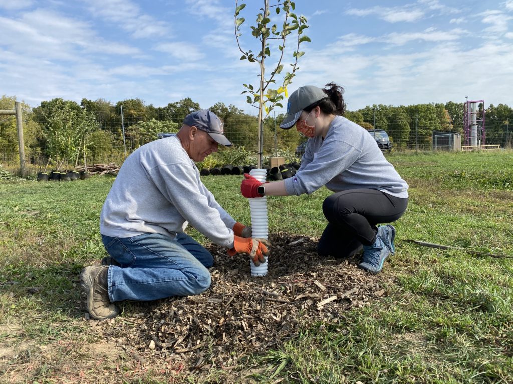 Media Name: 2020_ArborDay_Pittsburgh_FoodBank2-1024x768.jpeg