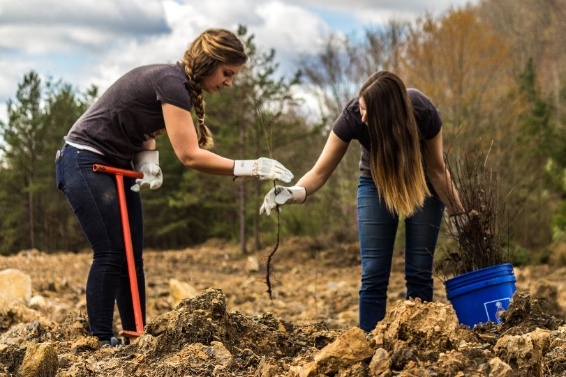 Media Name: AE-tree-planting.jpg