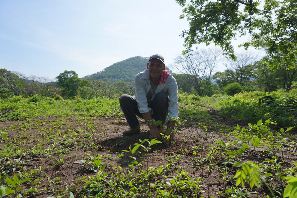 Media Name: Farmer-Mario-Calix-Hernandez_Community-Guaylo_-Region-San-Juan-de-Limay--1024x683.jpg