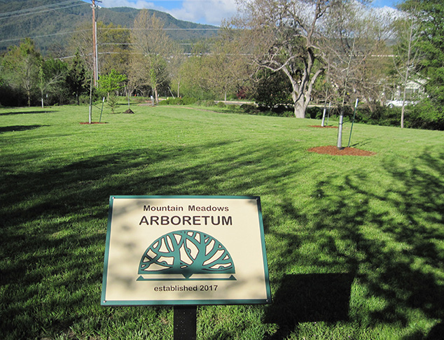 Media Name: MM-Arboretum.jpg