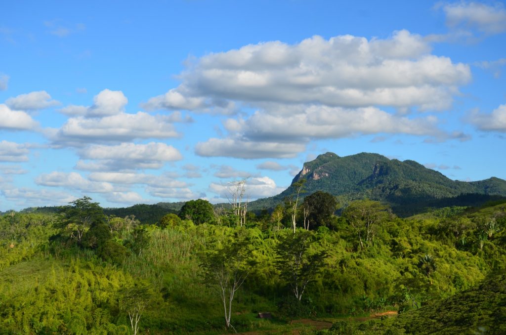 Media Name: Madagascar-skyline-1024x678.jpg