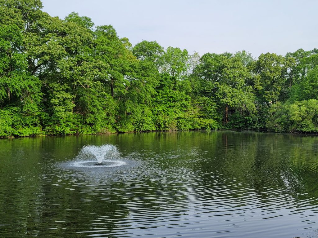 Tanner Medical Center green space