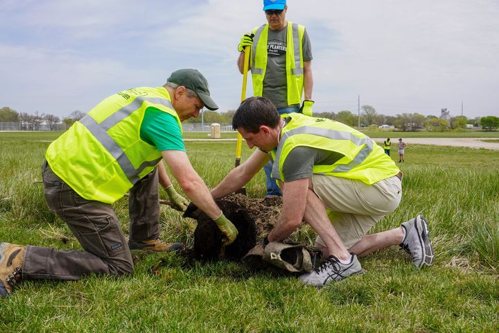 Three coworkers planting a tree in a local park on Arbor Day