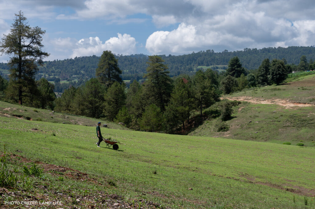 Media Name: RF13744_Mexico_Land-Life-Company_2022-6556-1024x681.jpg