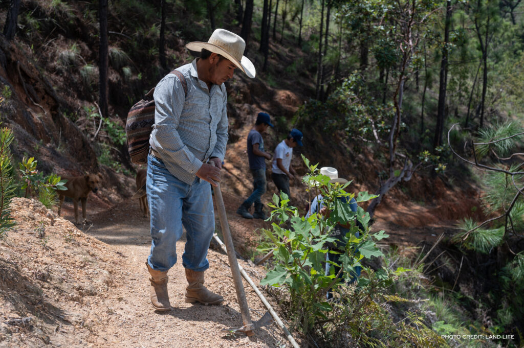 Media Name: RF13744_Mexico_Land-Life-Company_2022-6948-1-1024x681.jpg