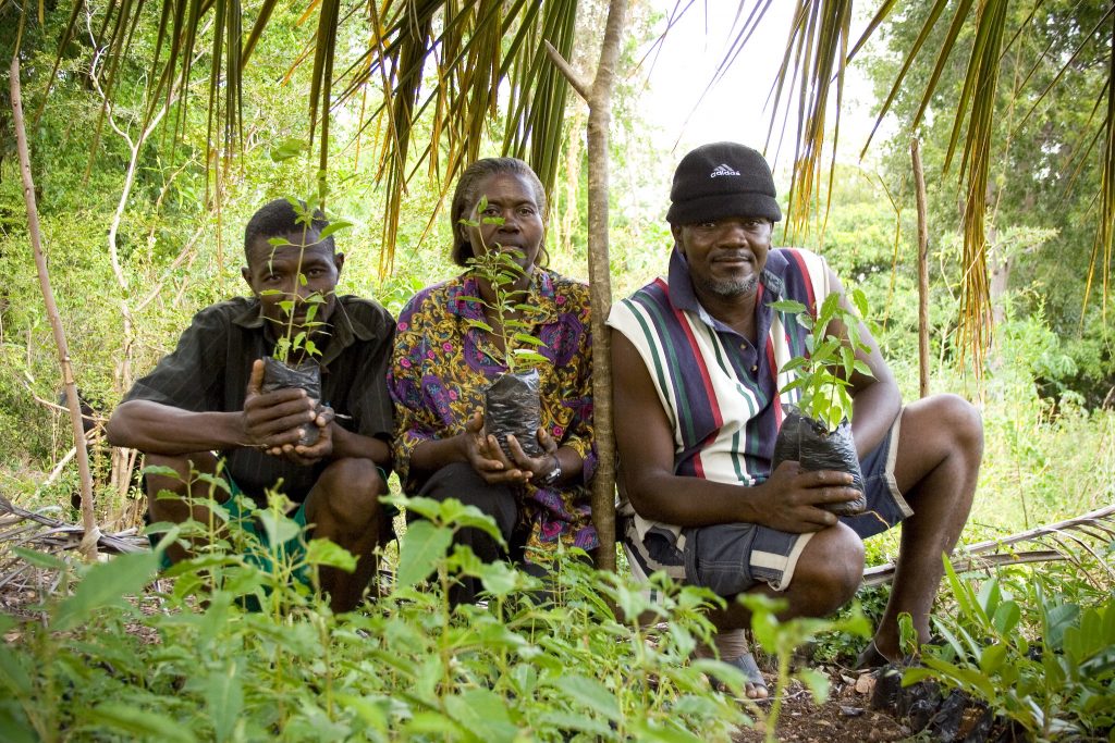 Media Name: Tree-Planters-1024x683.jpg