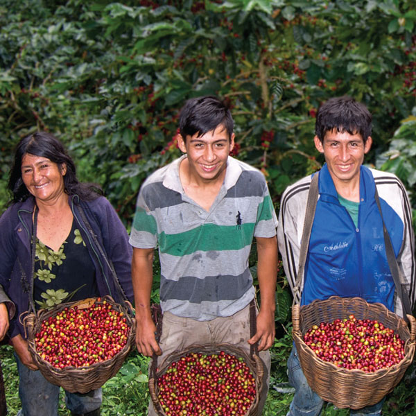 Media Name: figure-peru-farmers.jpg