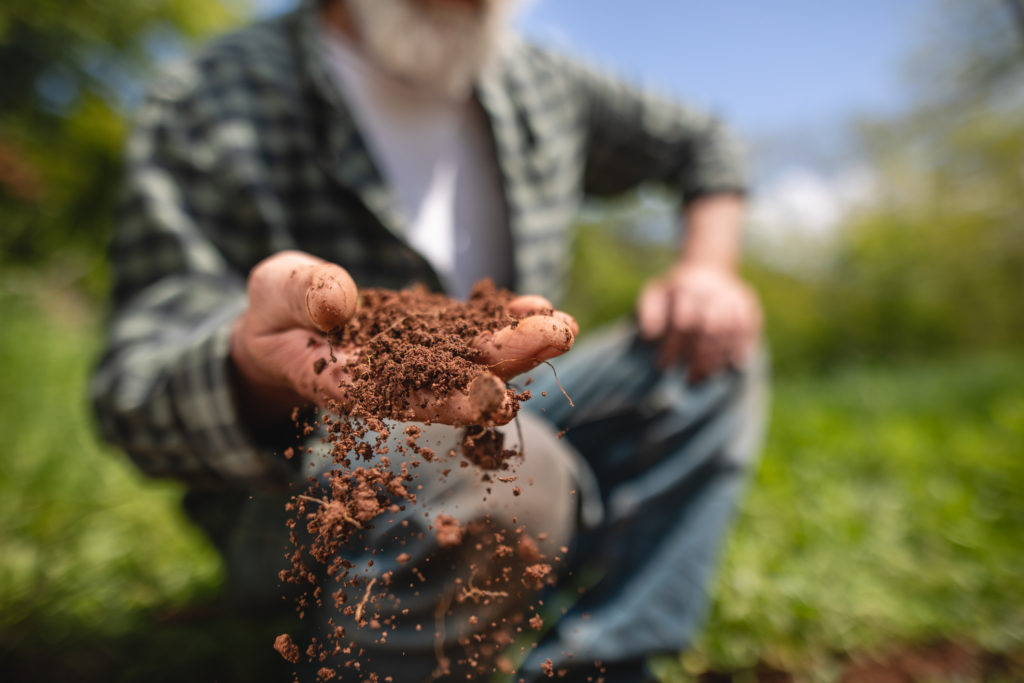 Man examines soil in his hands