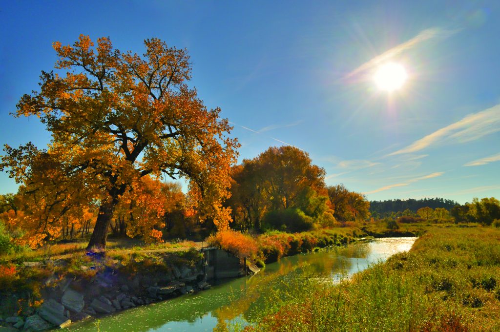 Billings Riverfront Park Canal