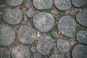 Beautiful design garden paths. Paving saw cuts wood oak