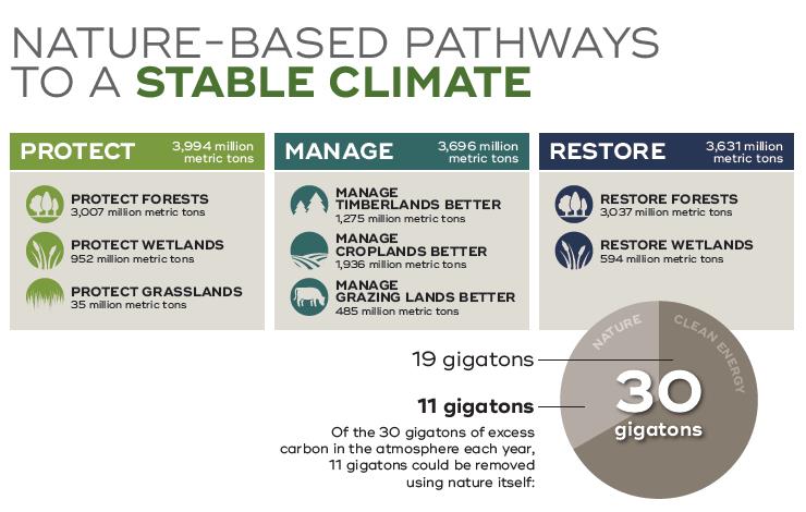 Media Name: nature-based-pathways-carbon.jpg