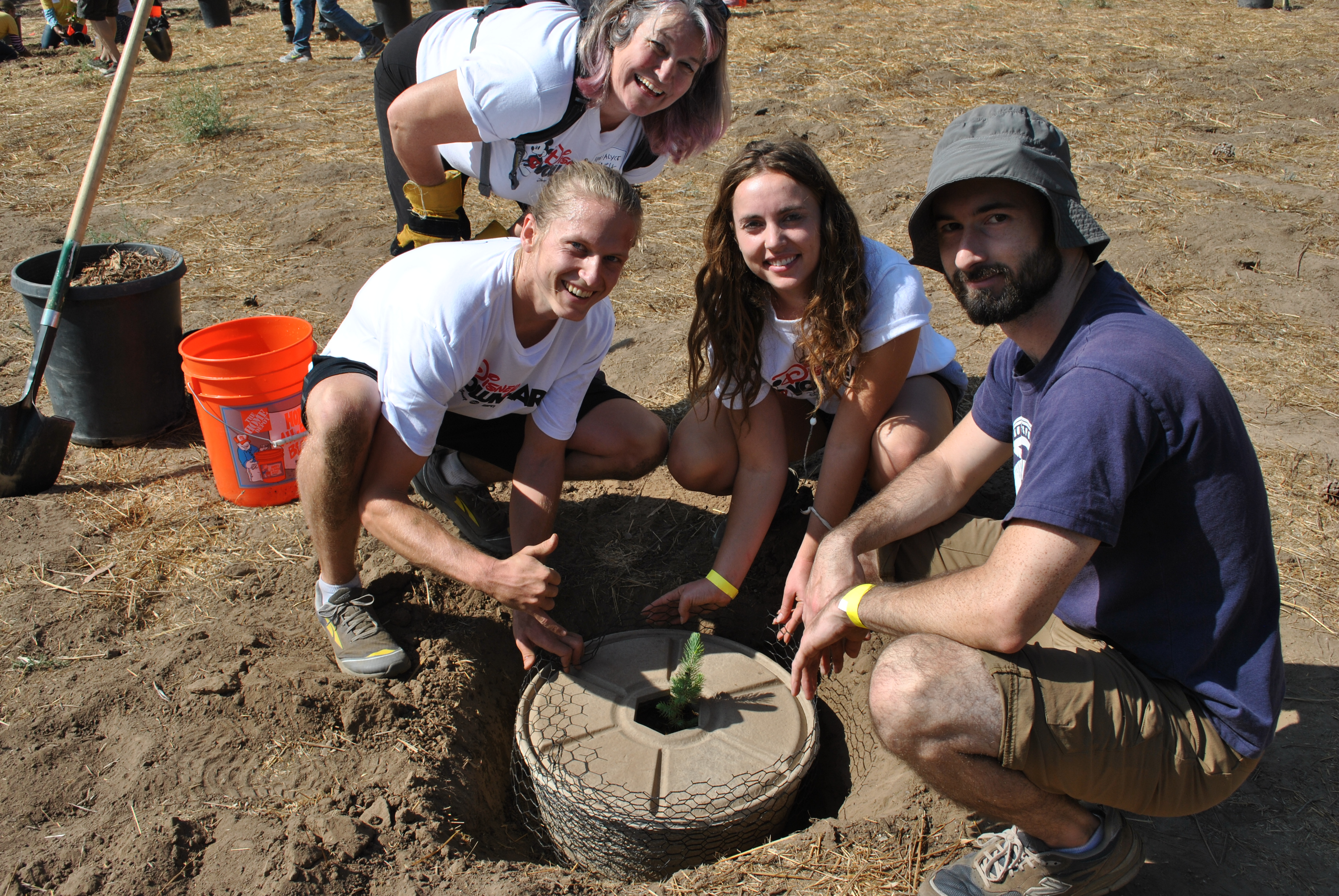 team-planting-cocoon