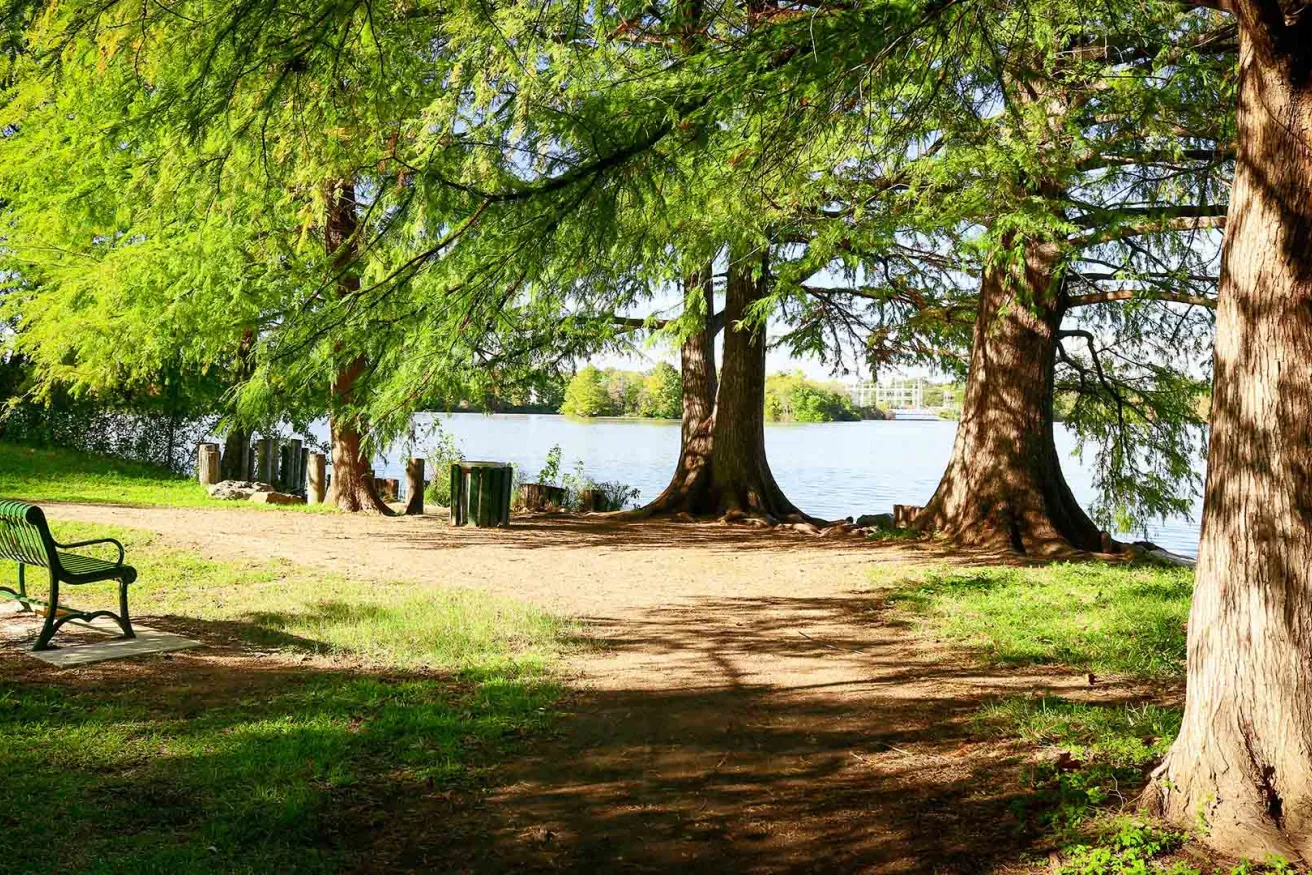 a park with benches and trees.