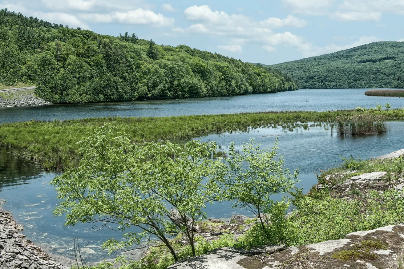 Media Name: Catskill-Mountain-Watershed-iStock-519195076.jpg