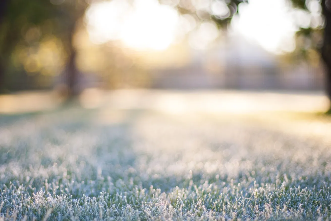 Media Name: frosted-lawn-iStock-603861744.jpg