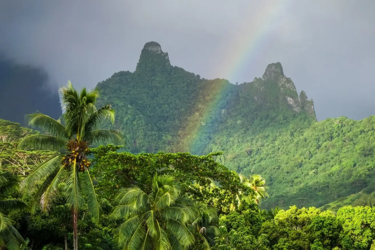 Media Name: rainbow-mountains-forest-iStock-657468988.jpg