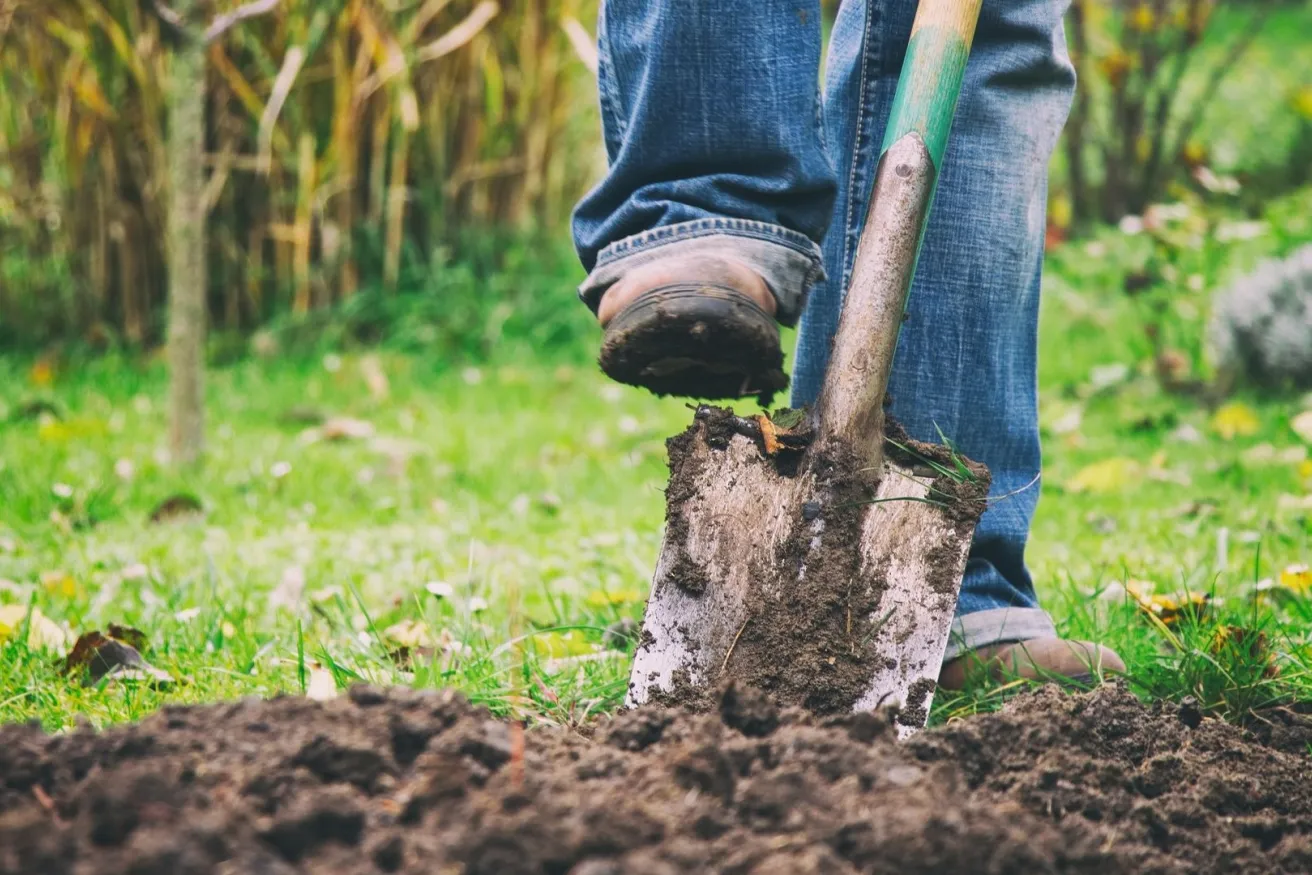 Media Name: spade-digging-iStock-934411298.jpg