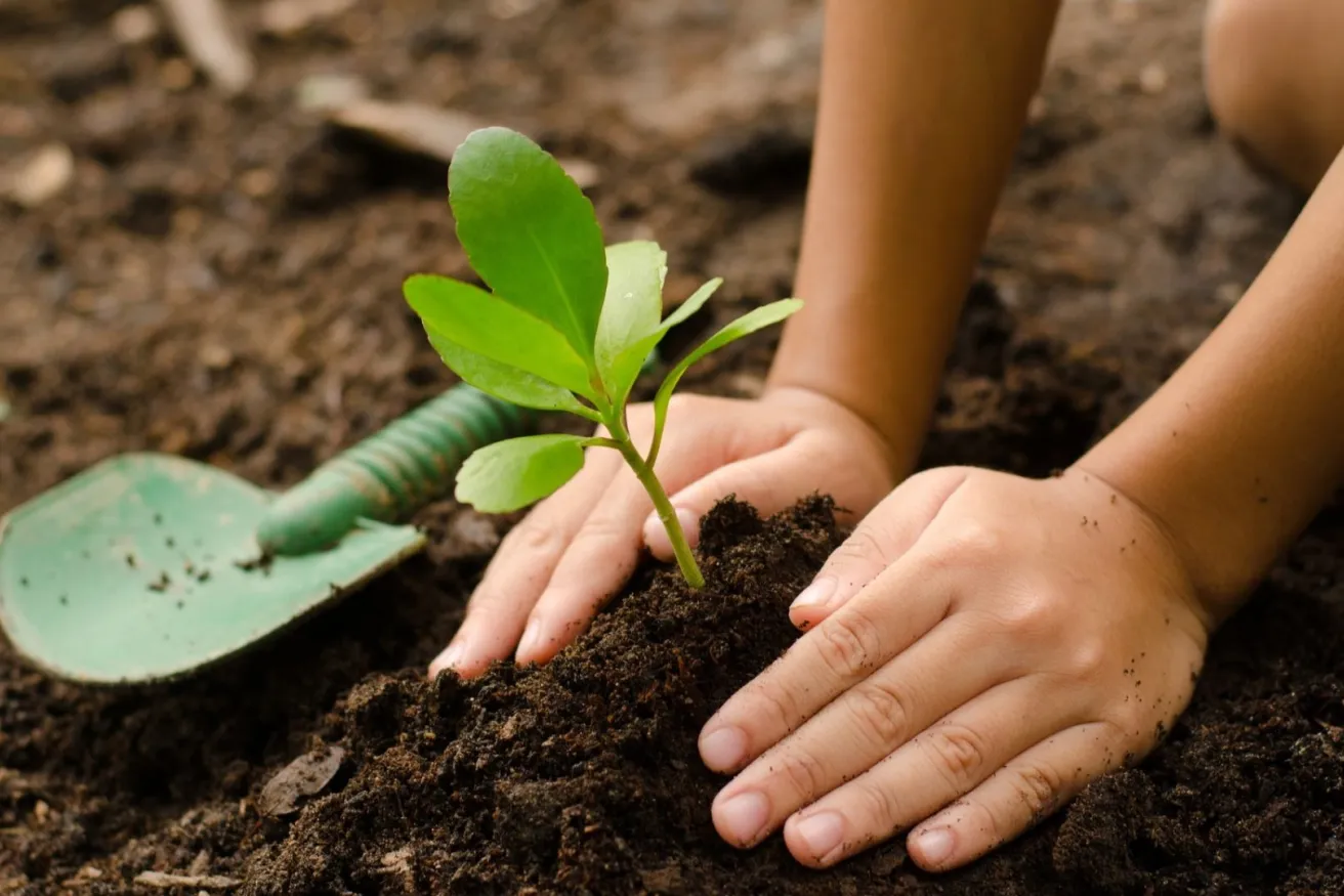 Media Name: tree-planting-kid-hands-iStock-672734322.jpg