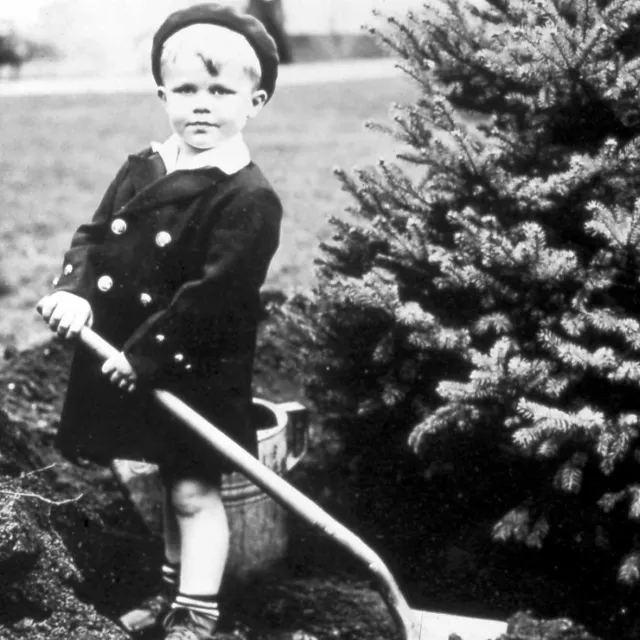 Historical photo of a boy planting a tree