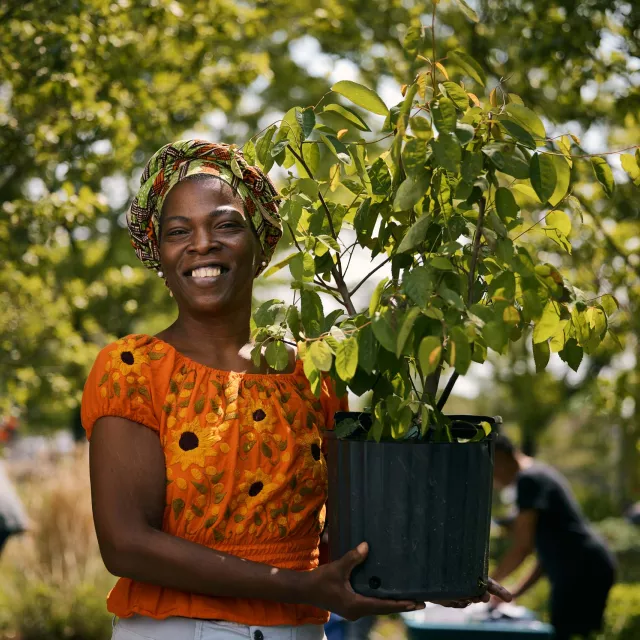 a woman holding a tree.