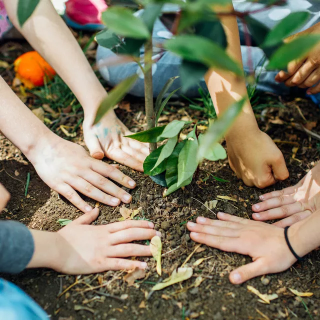 kids digging in the dirt