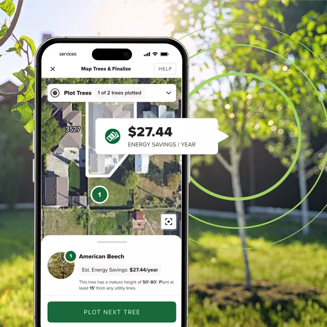 Screenshot on a phone of the user mapping experience within the Community Tree Distribution platform, overlayed on a tree image.