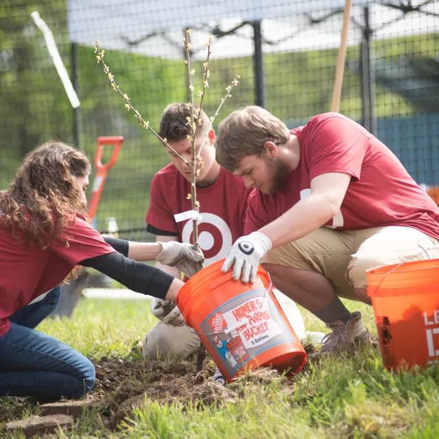 Target employees planting a tree and mulching.