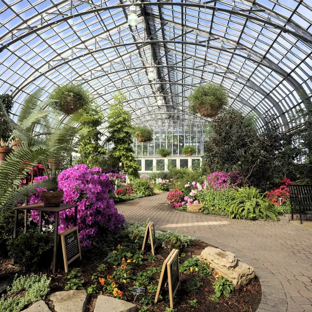 inside view of Garfield park observatory in Chicago, IL