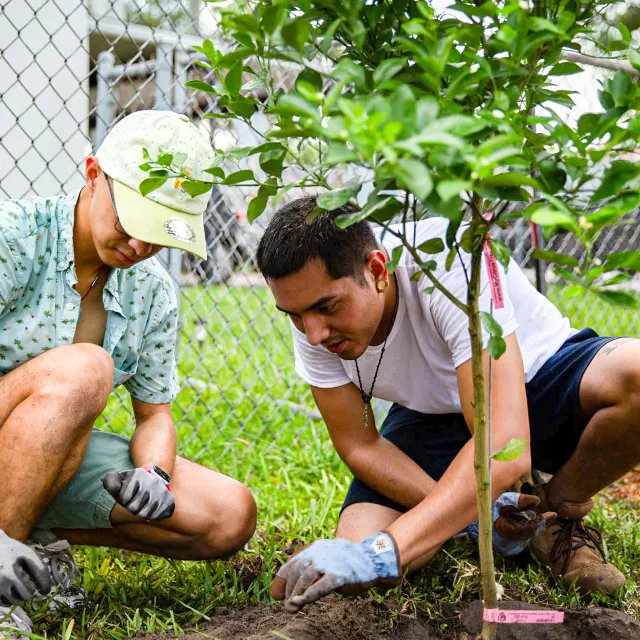 two volunteers planting a tree together.