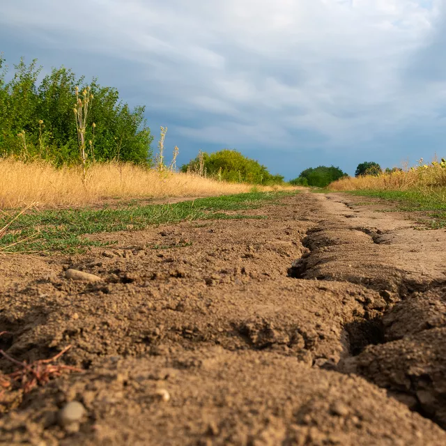 dry cracked soil.