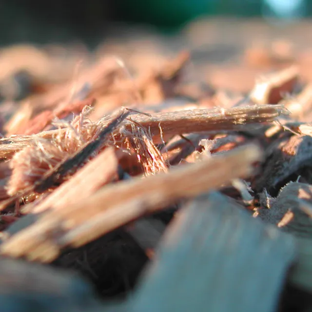 Media Name: close-up-woodchips.jpg