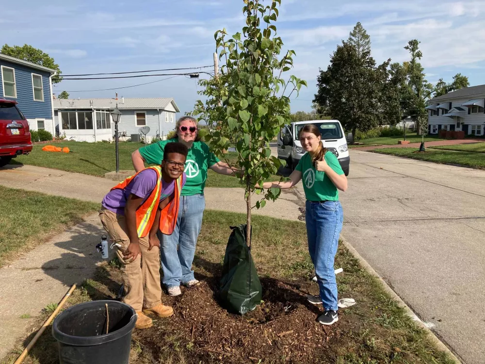 three volunteers planting a tree.