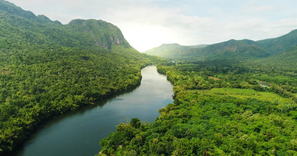 tropical forest with river landscape