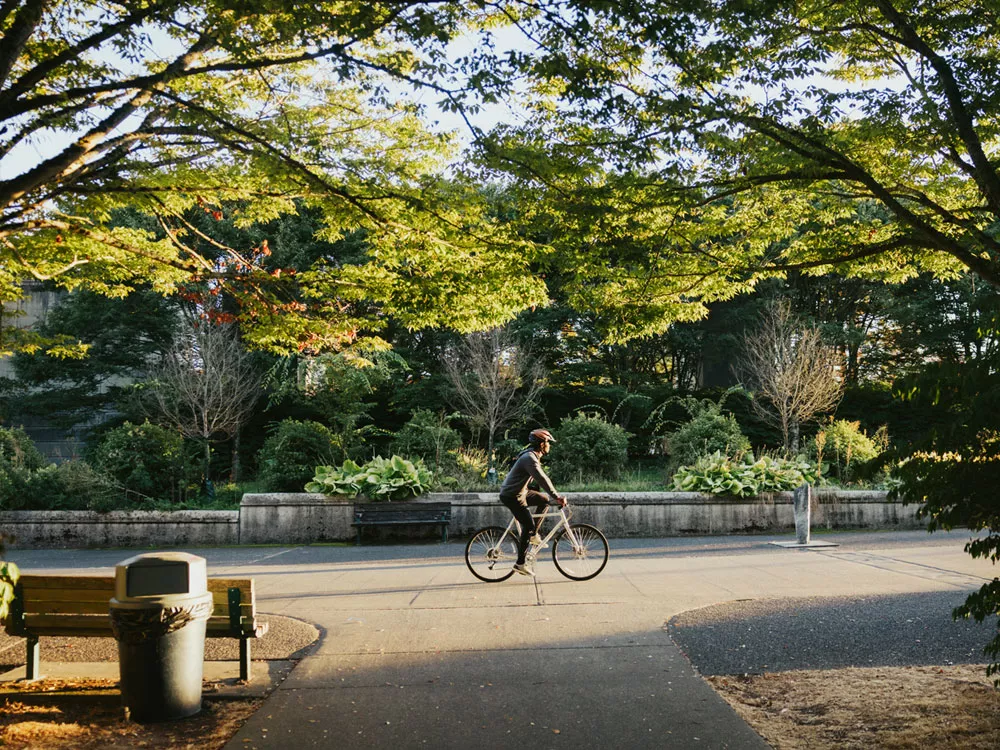 person riding bike through trees