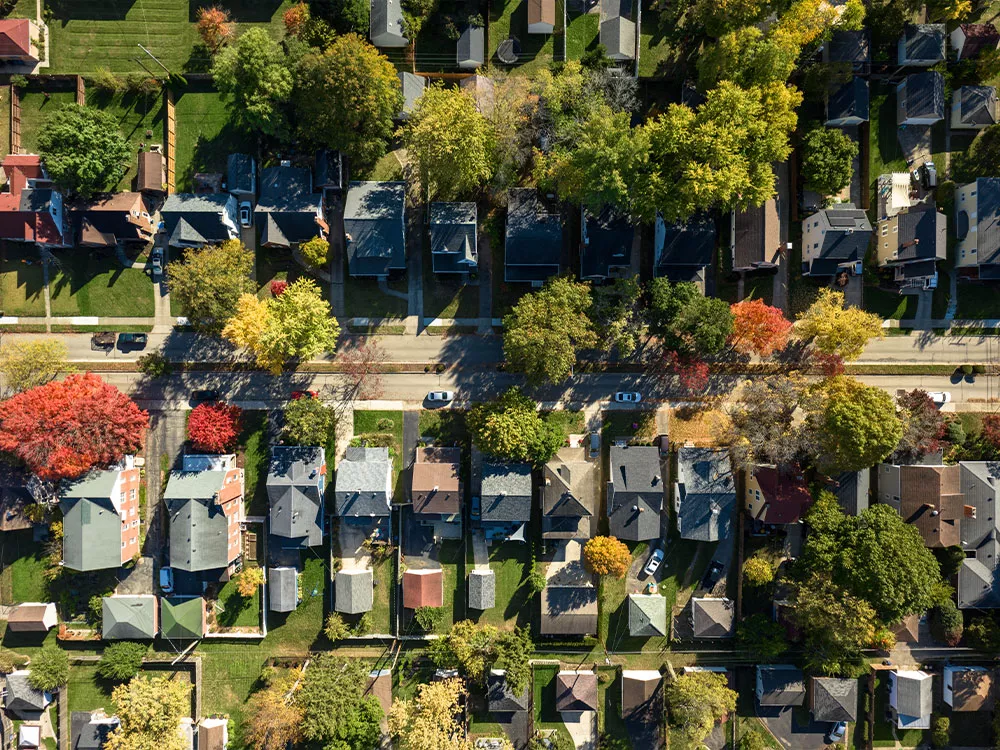 trees in neighborhood