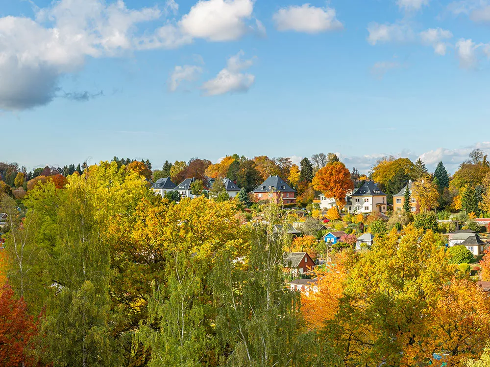 fall colored trees in a community with houses