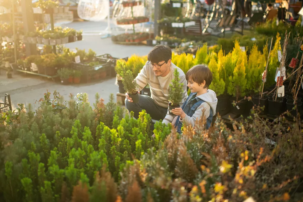 people picking out a tree to plant from a store