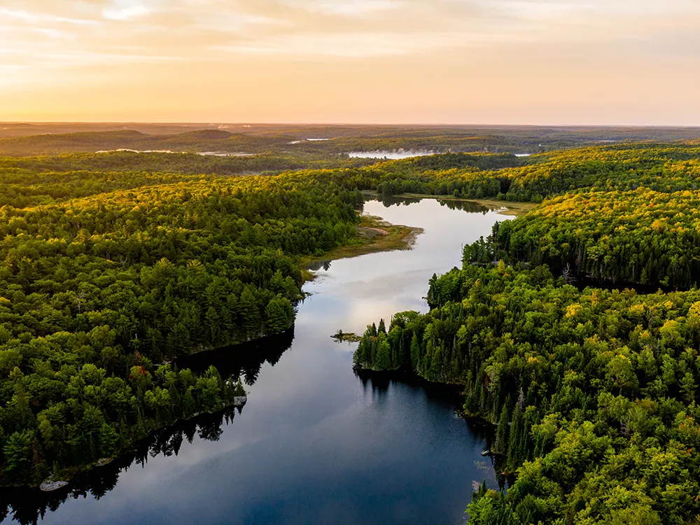 trees along a large river at sunset