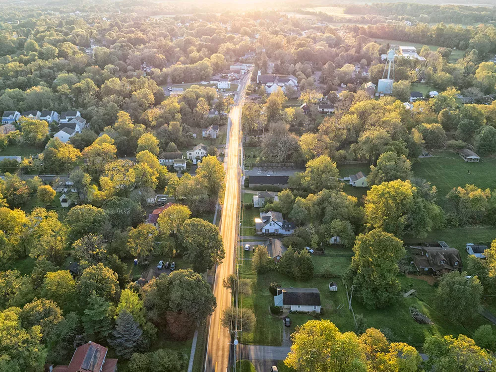 trees in a community