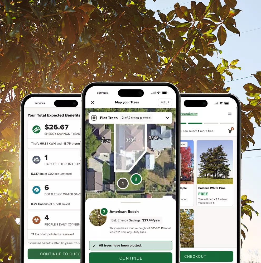 Screenshots of Community Tree Distribution technology on three phones, overlayed on a tree image.