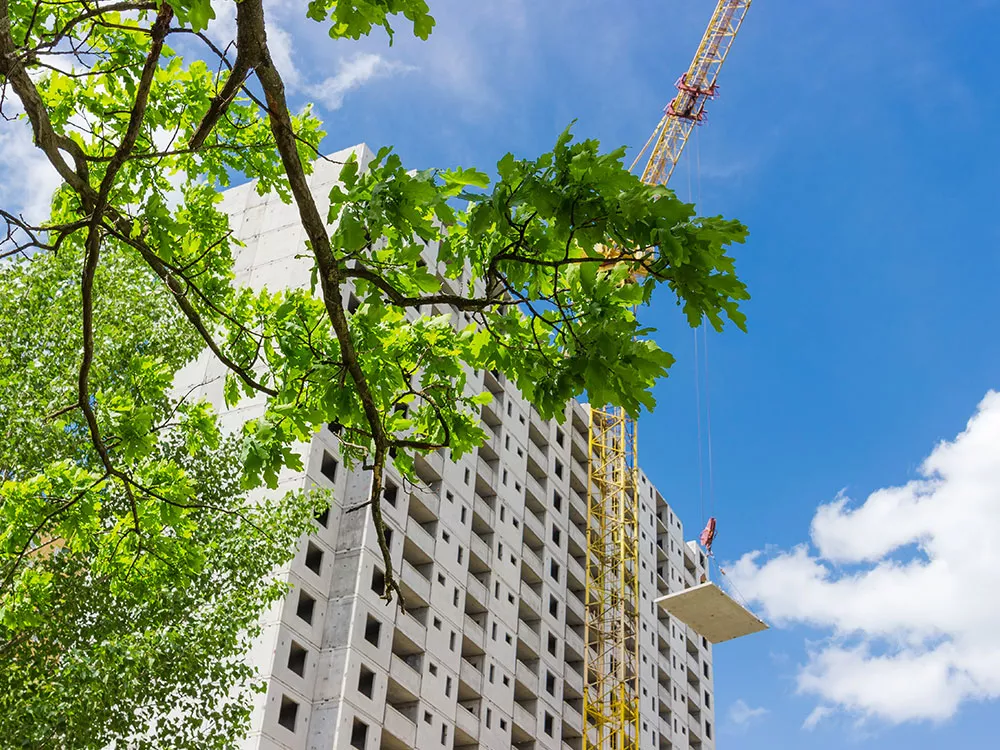 construction on building around tree