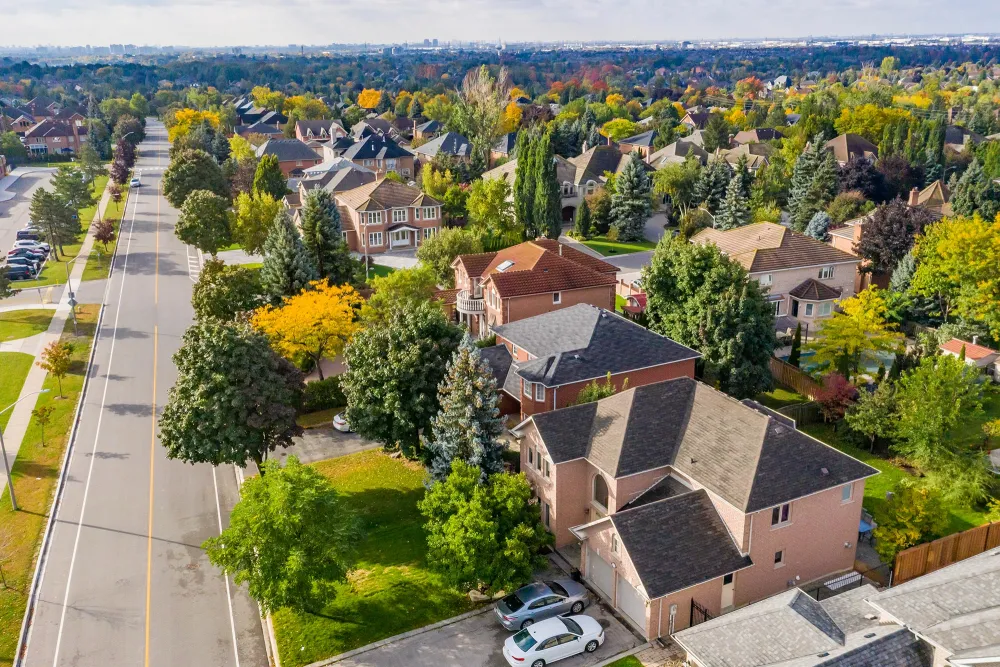 trees surrounding trees in a large neighborhood