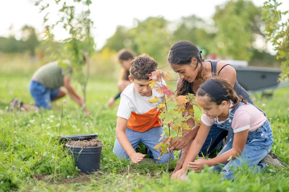 a family planting trees