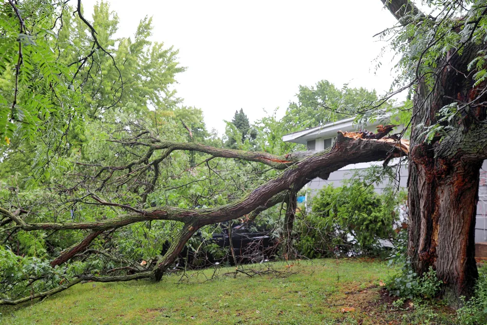 a fallen tree in a front yard next to a house