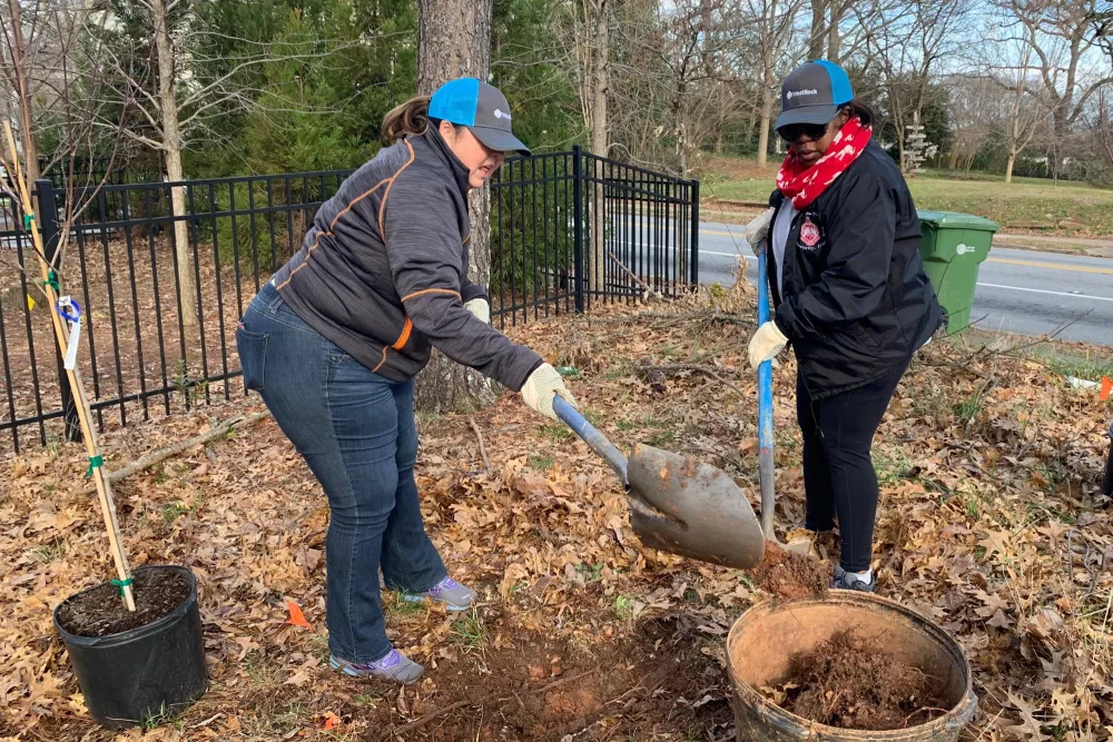 volunteers planting a tree