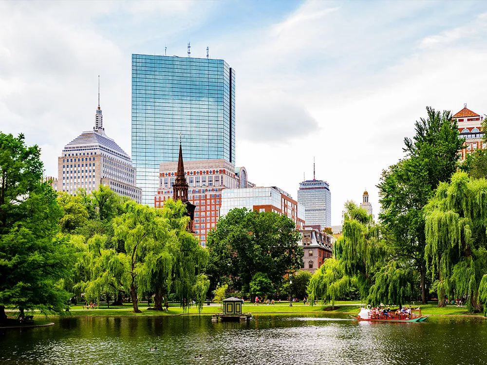 trees with boston skyline