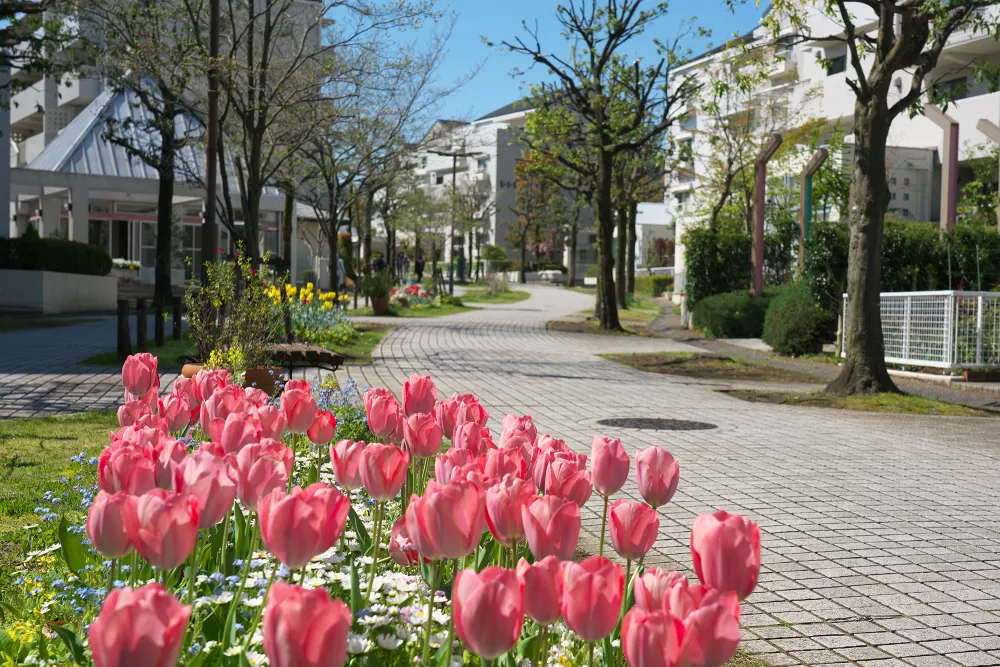 trees and flower landscaping around building and sidewalk