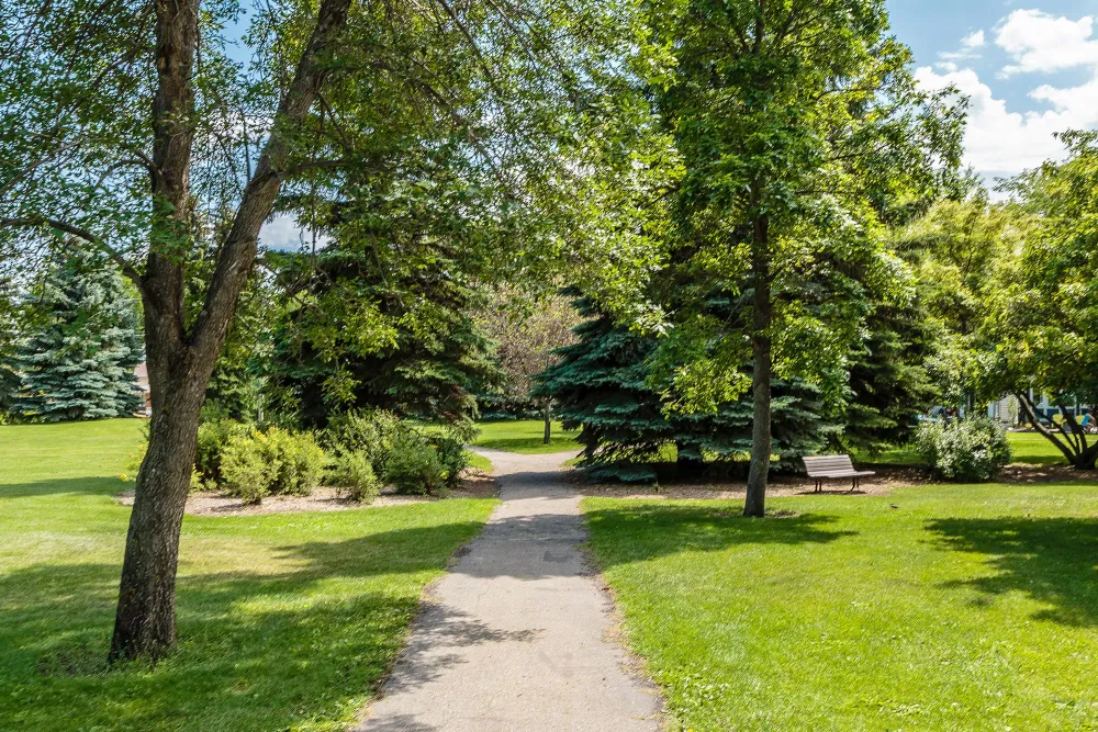 a path into a park full of trees in a city