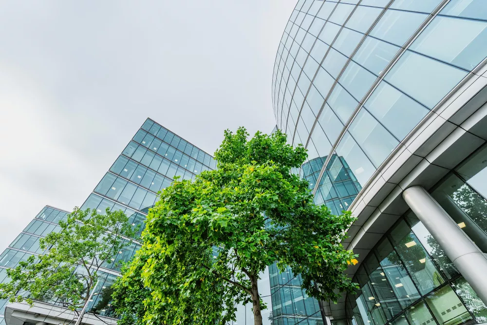 trees with buildings