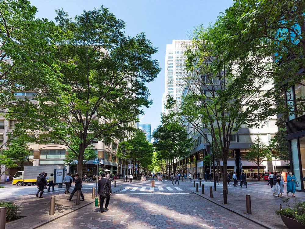 trees in a big city